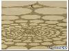 Drawing Lines in The Sand