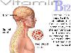 Importance of Vitamins - Awareness Post