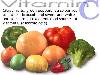 Importance of Vitamins - Awareness Post