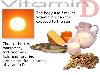 Importance of Vitamins - Awareness Post