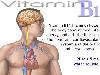 Importance of Vitamins - Awareness Post