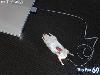 Real Computer Mouse But Madness