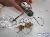 Real Computer Mouse But Madness