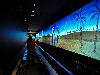 At The Top Burj Khalifa Tower & Dancing Fountain at Dubai Mall