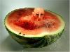 Funny Pictures