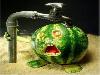 Funny Pictures