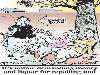 Deccan Chronicle Cartoons