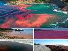 Strange Wonders of the World