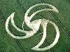 Ultimate Crop Circles in the Field
