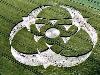 Ultimate Crop Circles in the Field