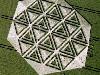 Ultimate Crop Circles in the Field