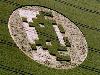 Ultimate Crop Circles in the Field