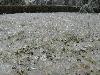 After Ice Rain in South China