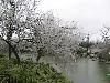 After Ice Rain in South China