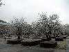 After Ice Rain in South China