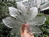 After Ice Rain in South China