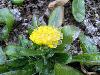After Ice Rain in South China