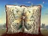 Amazing Illusion - Amazing Anamorphic Illusions,amazing Creations