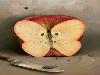 Amazing Illusion - Amazing Anamorphic Illusions,amazing Creations
