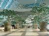 Marina Bay Sands Sky Park in Singapore