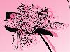 Paper Cutting Arts