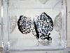 Paper Cutting Arts