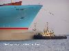 MAERSKLINE The Biggest Container Ship in the World