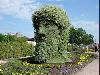 Botanical Garden in Montreal