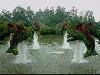 Botanical Garden in Montreal