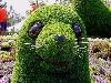 Botanical Garden in Montreal