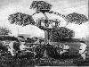Aircraft Detection Before Radar