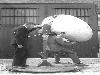 Aircraft Detection Before Radar