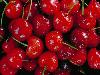 Top 10 Healthiest Fruits