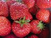 Top 10 Healthiest Fruits