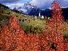 Amazing Italy Virtual Tour