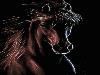 Amazing Mobile Animated Wallpapers