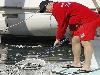 Mass Fish Death in California after Tsunami in Japan