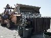 Mass Fish Death in California after Tsunami in Japan