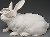Ultimate Porcelain Sculpture Art by Kate McDowel