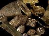 Treasure of Thiruvananthapuram