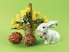 Beautifully Decorated Eggs