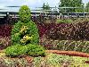 Creative Garden