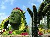 Creative Garden