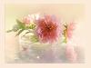 For All My Friends