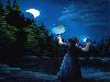 Illusion Images by Rob Gonsalves