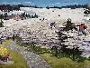 Illusion Images by Rob Gonsalves