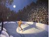 Illusion Images by Rob Gonsalves II