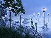 Illusion Images by Rob Gonsalves III