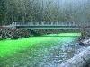 Neon Green River Canada