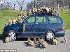 Dont Left the Car in a Safari Park